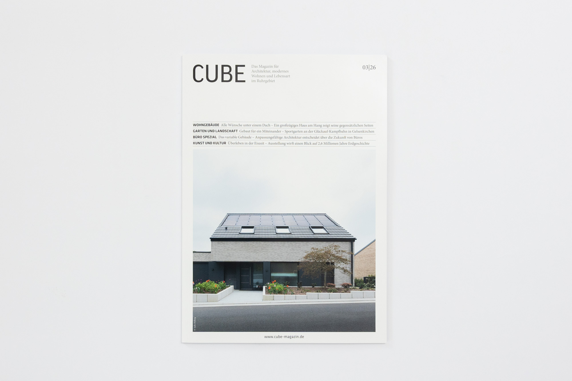 LUKEDELLWIG_AT_CUBE-3114